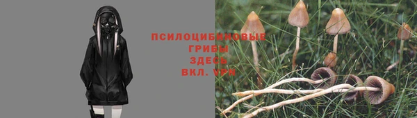 дурь Абдулино
