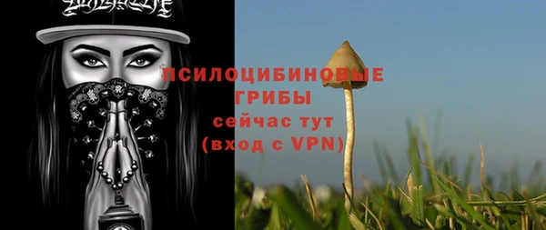 дурь Абдулино