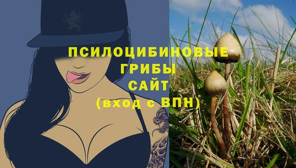 спиды Пролетарск