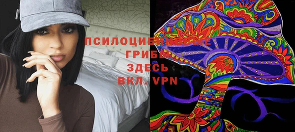 гидра Протвино