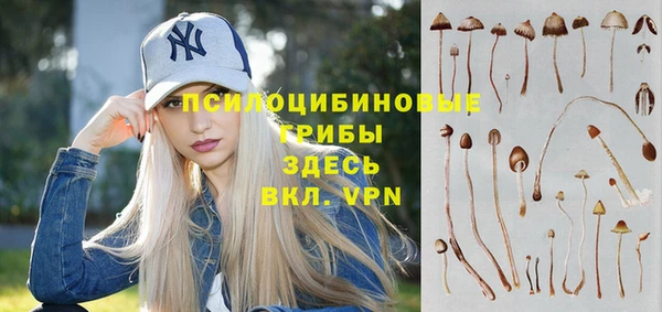 дурь Абдулино