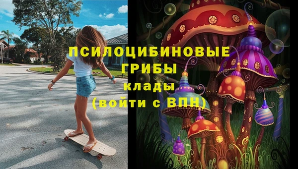 прущие крисы Абинск